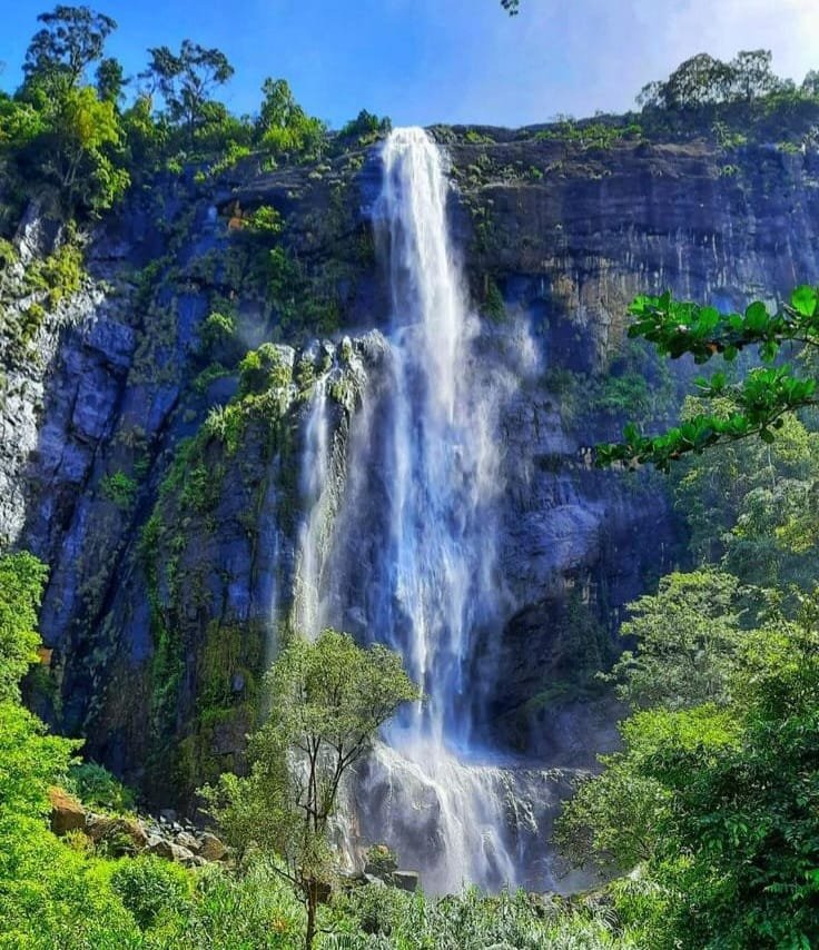 whatsapp image 2026 09 11 at 09.19.07 (2)